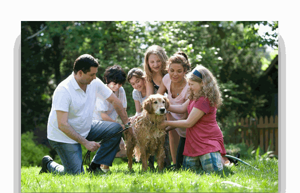 Relações Familiares
