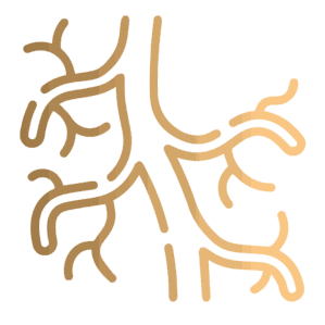 Cirurgia vascular